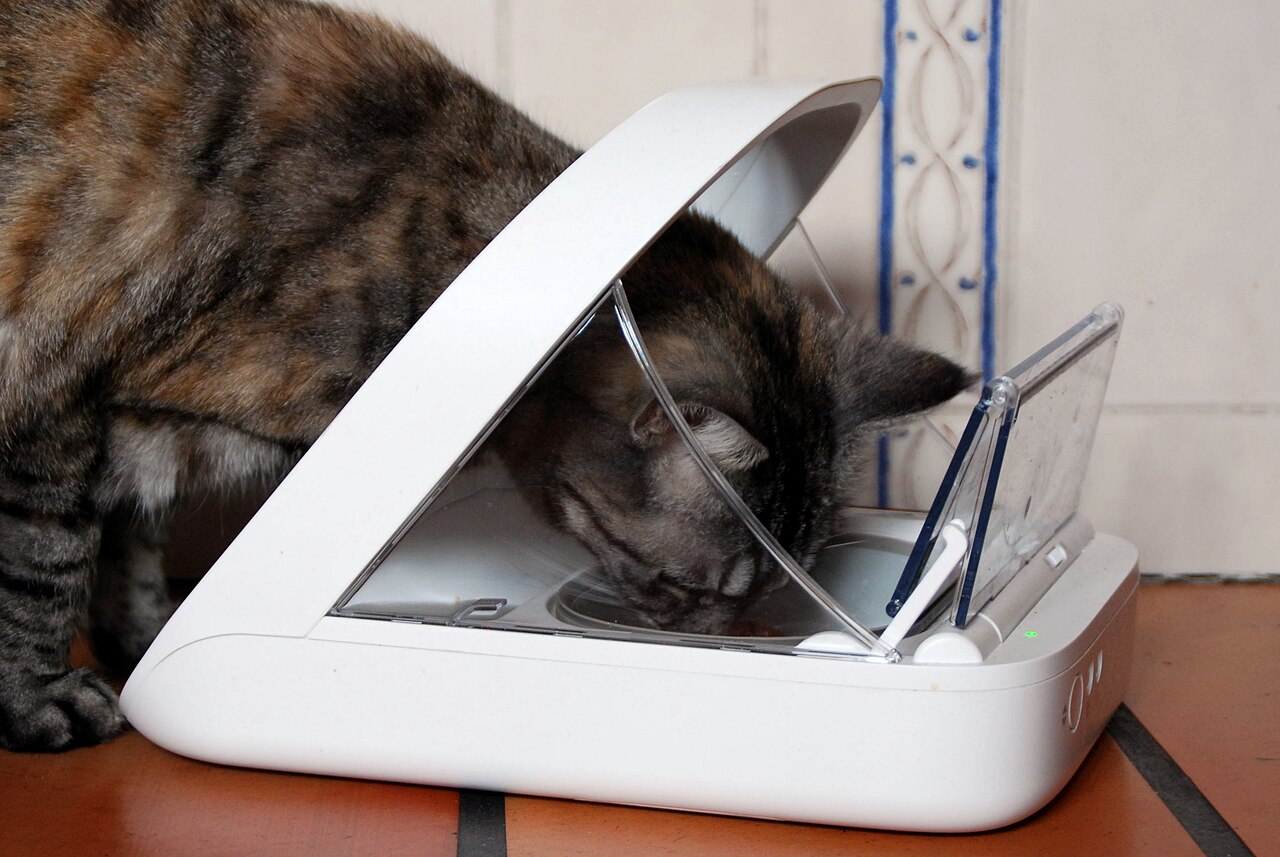 Automatic pet feeders shopping category
