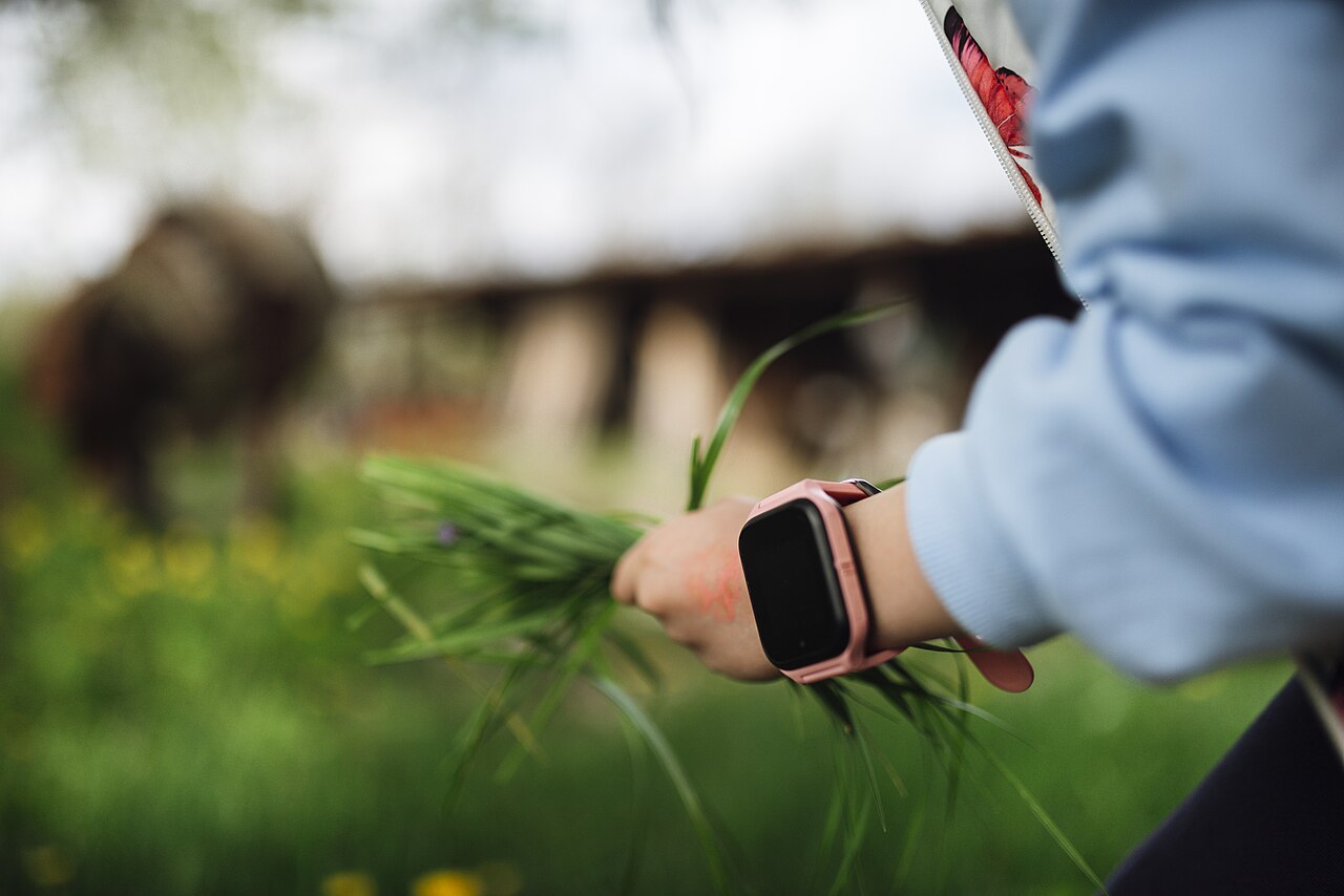 Smartwatches shopping category